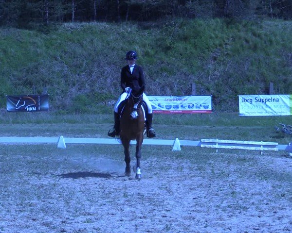 Reitturnier Colbitz 2024