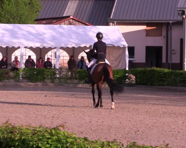 Reitturnier Olfen-Vinnum 2024