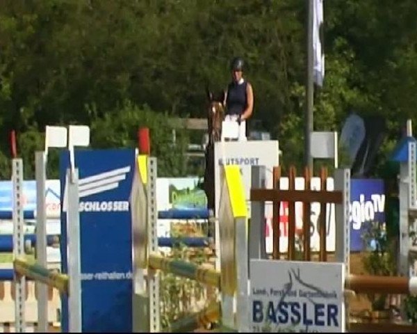 HORSE classics Killingen 2011