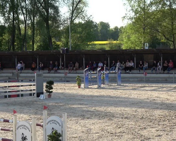 Reitturnier Ingolstadt-Hagau/Obb. 2024