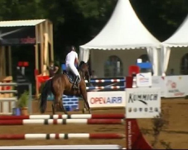 HORSE classics Killingen 2011