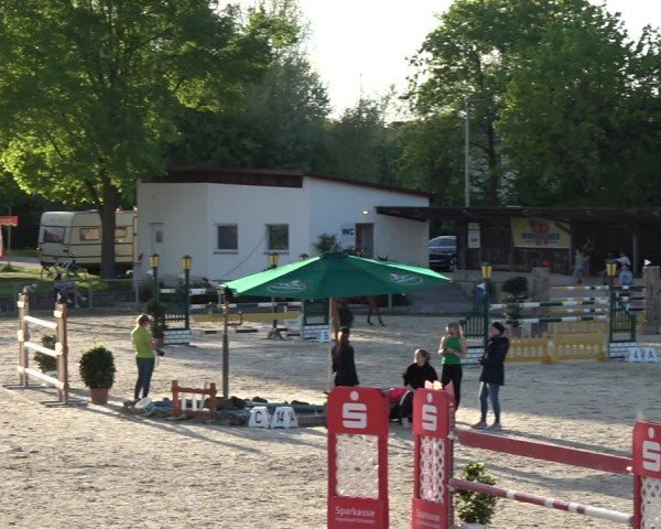 Reitturnier Ingolstadt-Hagau/Obb. 2024