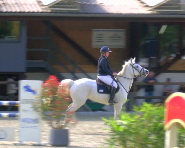 Reitturnier Heiden 2024