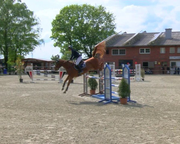 Reitturnier Heiden 2024