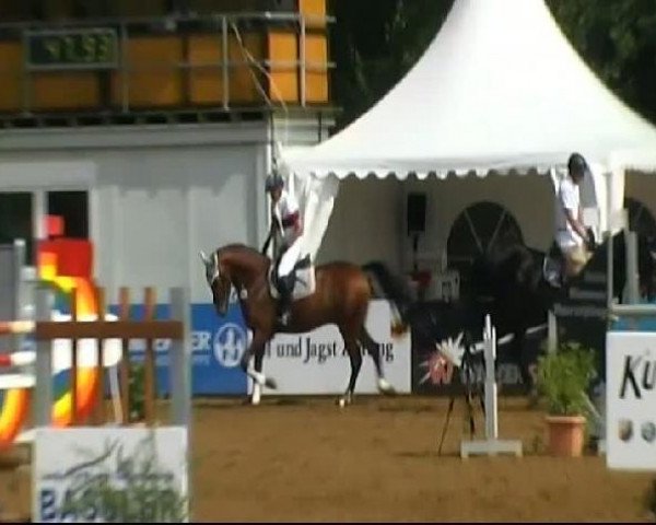 HORSE classics Killingen 2011