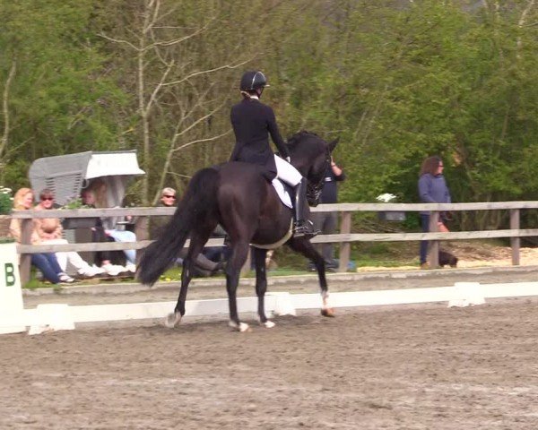 Reitturnier Ladelunder Turniertage 2024