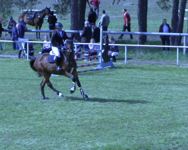 Reitturnier Colbitz 2024