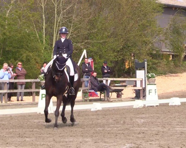 Reitturnier Ladelunder Turniertage 2024