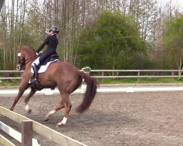 Reitturnier Ladelunder Turniertage 2024
