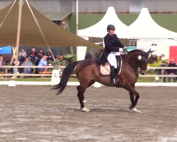 Reitturnier Ladelunder Turniertage 2024
