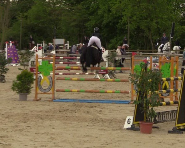 Reitturnier Nienberge 2024
