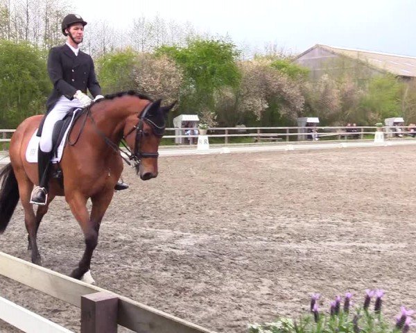 Reitturnier Ladelunder Turniertage 2024