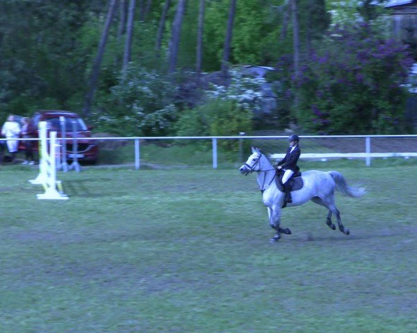 Reitturnier Colbitz 2024