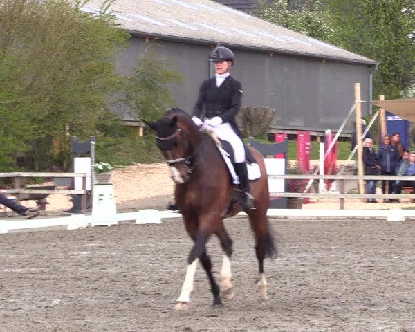 Reitturnier Ladelunder Turniertage 2024