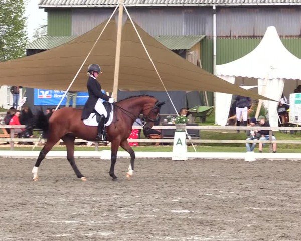 Reitturnier Ladelunder Turniertage 2024