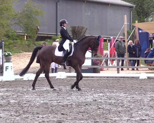 Reitturnier Ladelunder Turniertage 2024