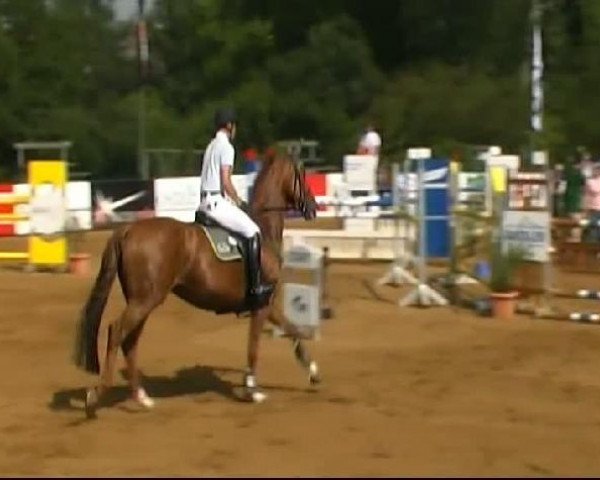 HORSE classics Killingen 2011