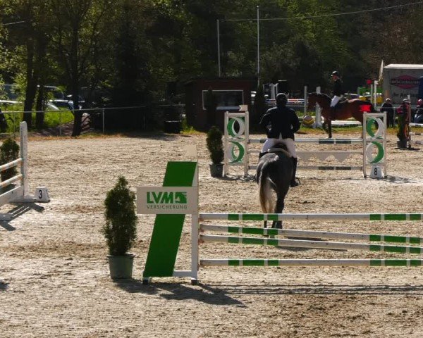 Reitturnier Bad Liebenstein/Sorga 2024