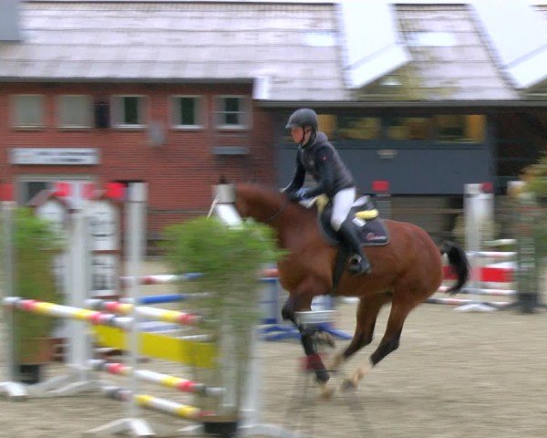 Reitturnier Heiden 2024