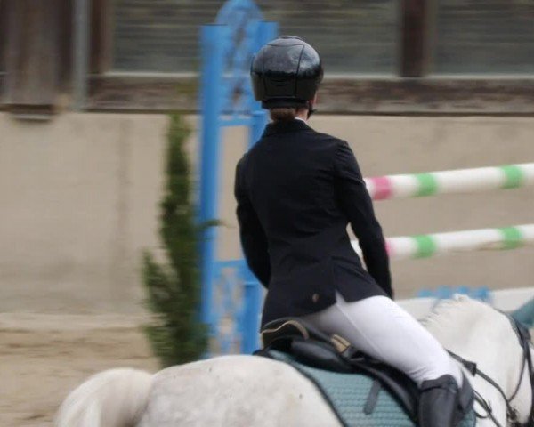 Reitturnier Großostheim/Ufr. 2024