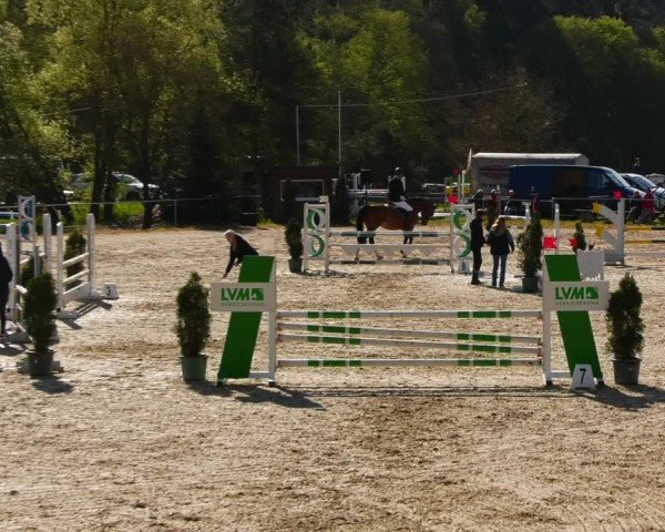 Reitturnier Bad Liebenstein/Sorga 2024