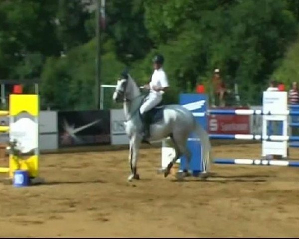 HORSE classics Killingen 2011