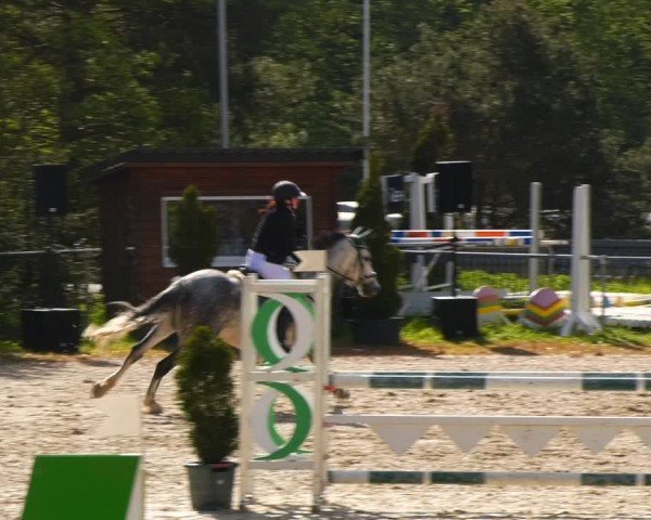 Reitturnier Bad Liebenstein/Sorga 2024