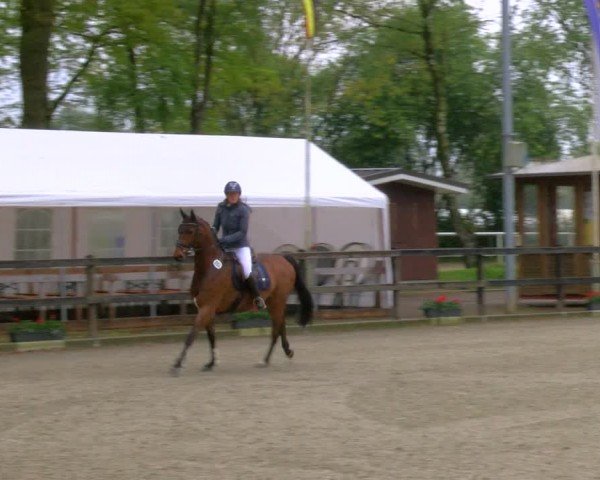 Reitturnier Heiden 2024