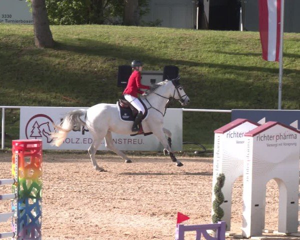 FEI Springturnier Stadl Paura 2024