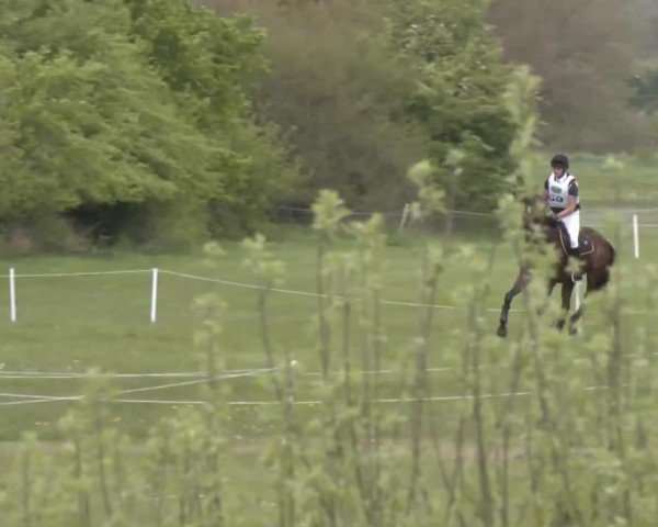 CCI2* Luhmühlen 2024