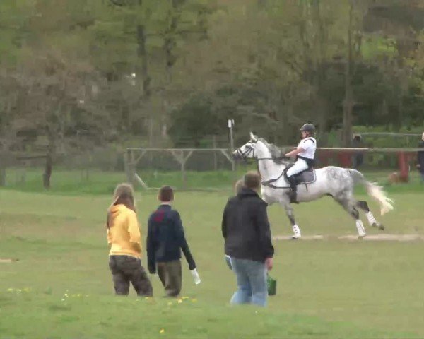 CCI2* Luhmühlen 2024