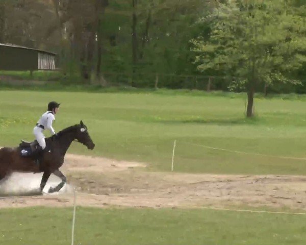 CCI2* Luhmühlen 2024