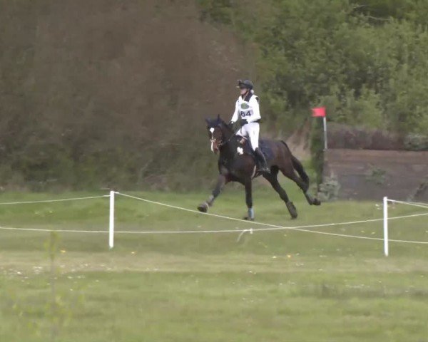 CCI2* Luhmühlen 2024