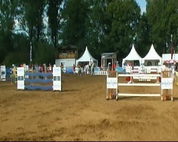 HORSE classics Killingen 2011