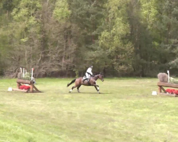 CCI2* Luhmühlen 2024