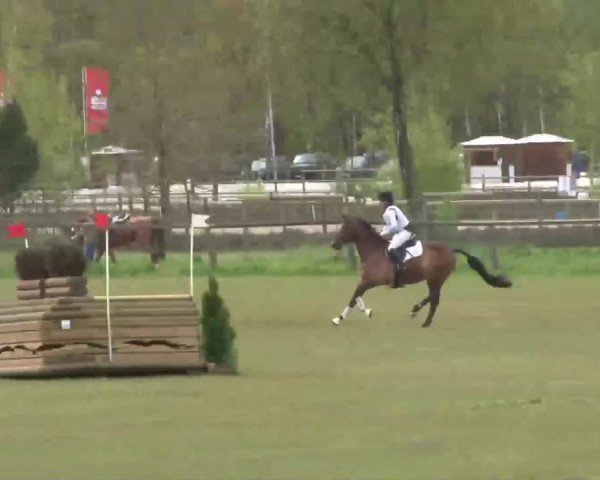 CCI2* Luhmühlen 2024