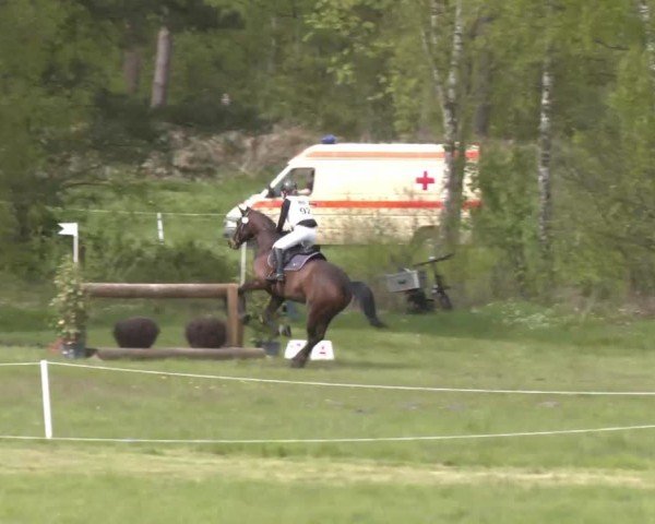 CCI2* Luhmühlen 2024