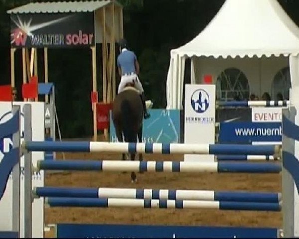 HORSE classics Killingen 2011