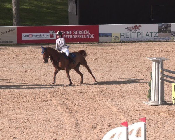 FEI Springturnier Stadl Paura 2024
