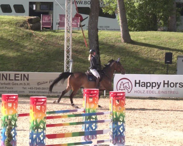 FEI Springturnier Stadl Paura 2024