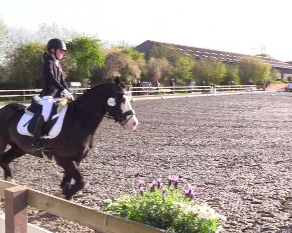 Reitturnier Ladelunder Turniertage 2024