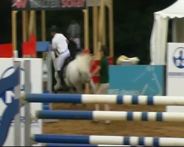 HORSE classics Killingen 2011