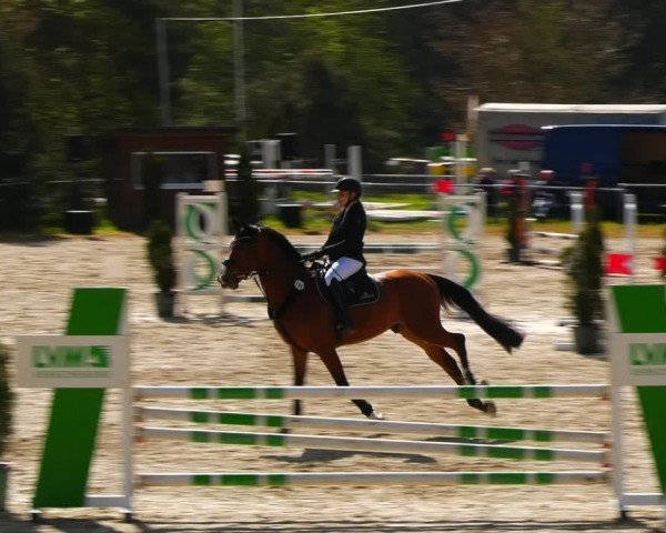 Reitturnier Bad Liebenstein/Sorga 2024