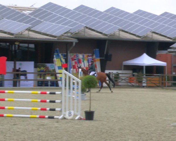 Reitturnier Heiden 2024
