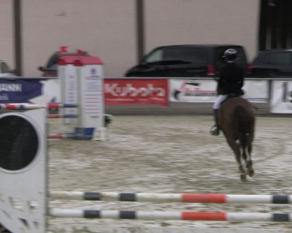 Reitturnier Olfen-Vinnum 2024
