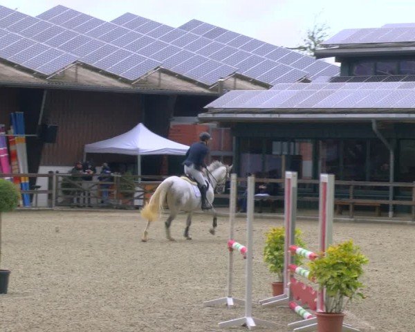 Reitturnier Heiden 2024
