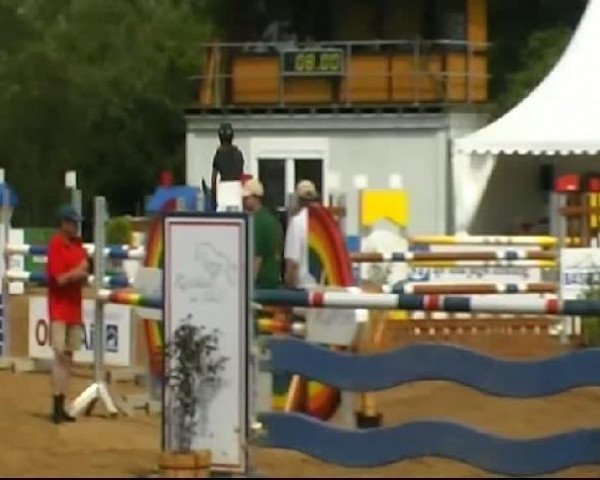 HORSE classics Killingen 2011