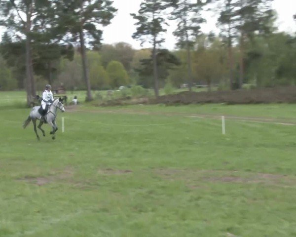 CCI2* Luhmühlen 2024