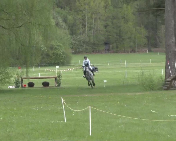 CCI2* Luhmühlen 2024