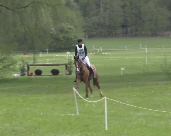 CCI2* Luhmühlen 2024
